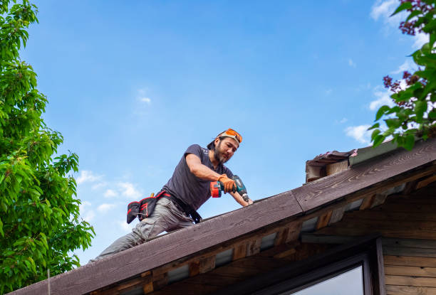 Best Gutter Installation and Repair  in Dexter, GA