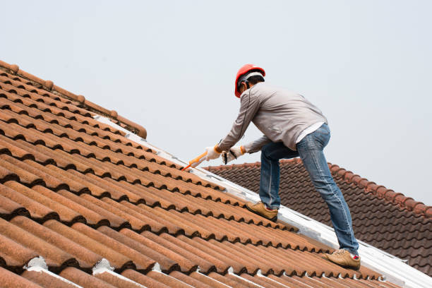 Best Commercial Roofing Services  in Dexter, GA