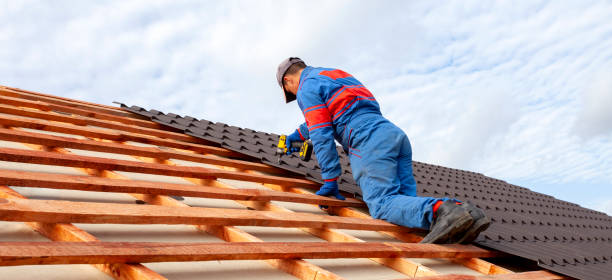 Best Gutter Installation and Repair  in Dexter, GA