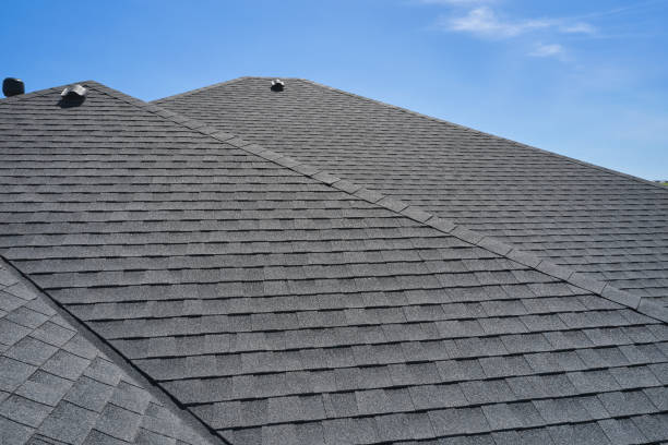 Best Metal Roofing Installation  in Dexter, GA