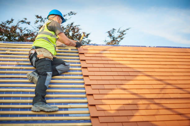 Best Solar Panel Roofing Installation  in Dexter, GA