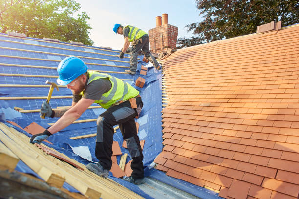 Best Roof Insulation Installation  in Dexter, GA